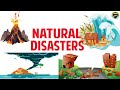Natural Disasters and Their Effects