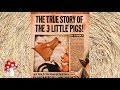 The True Perspective of the 3 Little Pigs