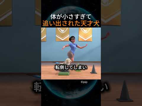 体が小さすぎて追い出された天才犬