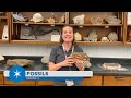 Trilobite Fossils and Paleontology