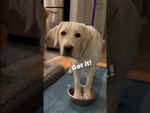 When your sibling does not listen… 🤣
