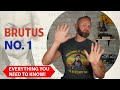 Understanding Brutus Number One