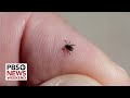 Lyme Disease Knowledge Assessment