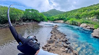 Solo Island Camping Adventure – Paddle Boarded to a Secret Creek & Landed the Fish of My Life!