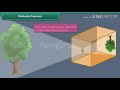 Understanding Pinhole Cameras