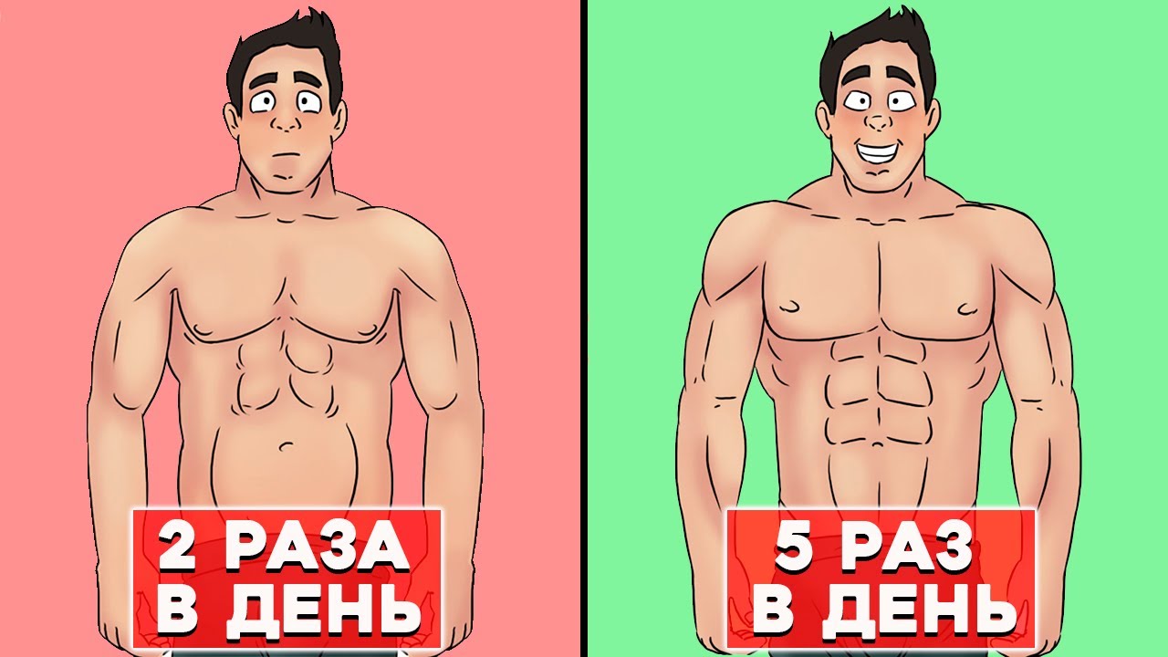 Вот почему нужно питаться Дробно