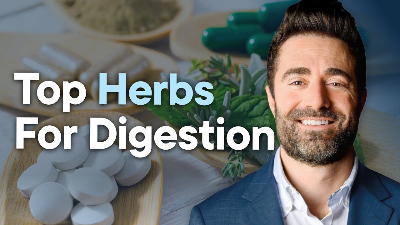 Top Natural Herbs to Improve Digestion (Supplements, Tinctures, & Teas)