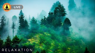 🔴 Fall Into Deep Sleep Easily! Best Relaxing Music for Sleep & Healing Meditation | Insomnia Relief