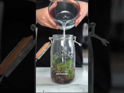🥃Super Einfach - selbr gemachter Eistee für den Sommer 🥃