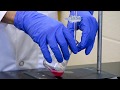 Exploring Stoichiometry in Reactions