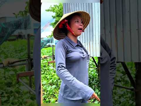 Làm quá hà.... #viralvideo #haihuoc #giaitri #comedy #vuinhon #xuhuong #hàihước