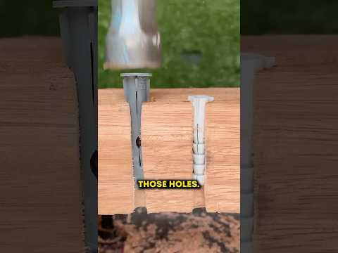 WHAT HAPPENS INSIDE A WOODEN BOARD