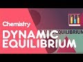 Dynamic Equilibrium in Chemical Systems