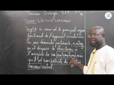 Exercices - Terminale S2 - SVT: Travaux Dirigés / L'activité Cardiaque / M. Gnasse