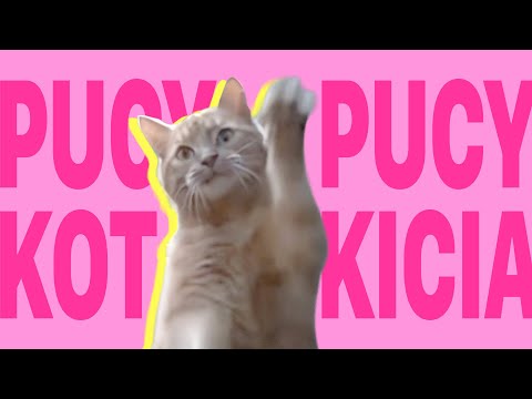 BULSJARZ — PUCY KOT PUCY KICIA [Pełna Wersja]
