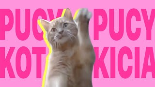 BULSJARZ — PUCY KOT PUCY KICIA [Pełna Wersja]