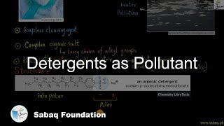 Detergents as Pollutant