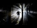 The Monster's Character and Relationships