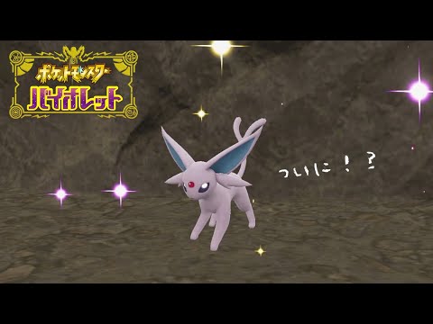 ついにあの洞窟のエーフィをGETなるか！？【 ポケットモンスター バイオレット 】 #22