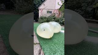 WATCH DOGE POP!💥