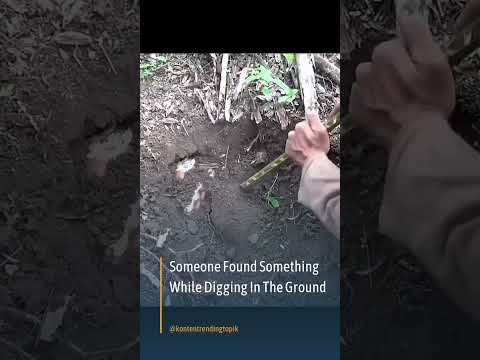 Seseorang Menemukan Sesuatu Saat Menggali Tanah #shorts #shortvideo #short #shortsvideo