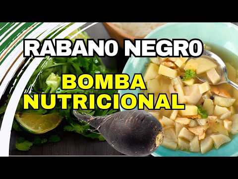 Poderoso Aporte NUTRICIONAL Del Rabano NEGRO⚫ Q CONTIENE el Rabano Negro ✔️ Aportes Del RABANO NEGRO