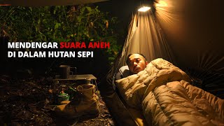 Solo Camping #147 | Uji Nyali di Dalam Hutan, Hujan Sepanjang Malam