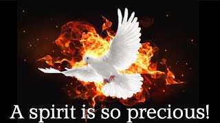 A spirit is so precious!