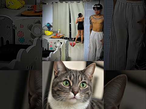 COUPLE FUN AURA 🤣 #cat #meme #trending #shorts