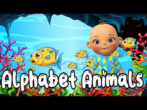 Alphabet Animals - Five Little Babies - Pucci wa wa wa - Baa Baa Black Sheep - Bingo - Old MacDonald