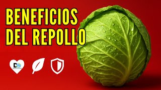 Descubre los increíbles beneficios del repollo que nadie te contó