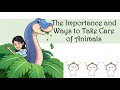 Animal Care and Responsibilities