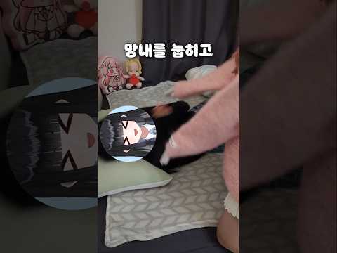 망내 '멕이기' 해봤습니다!