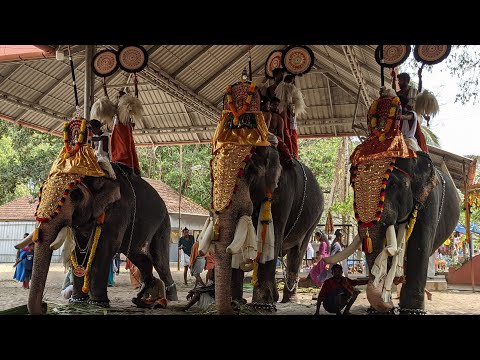 Kanjirakattu shekharan|Arun Ayyappan|Vembanadu Vasudevan|#aanapremi #shorts#viralshorts