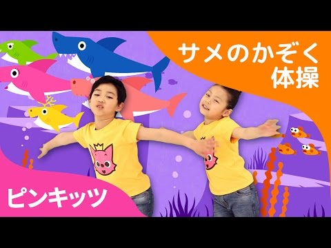 ワァァーサメだ！サメのかぞく体操★トゥルルットゥル★ Fun Rhythm ピンキッツ体操しよう ピンキッツ童謡