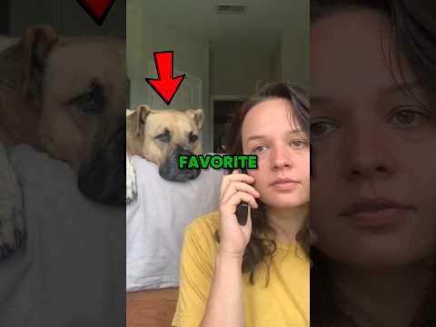 dogs hearing favorite word π #shorts #dog