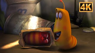 Larva Hide and Seek Cartoon | Epic Cartoon for Children