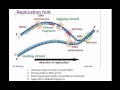 DNA Replication and Structure Concepts
