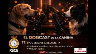#11 El Dogcast de La Canina: Novedades del Agility