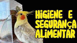 CALOPSITAS Higiene e a segurança alimentar - comedouro para calopsita - comedor