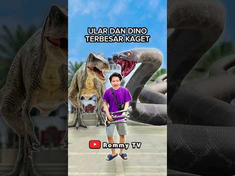 ULAR DAN DINO TERBESAR KAGET!! Prank Klakson Bus Telolet #shorts #trendingshorts