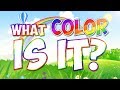 Colors in Nature and Objects