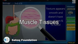Muscle Tissues