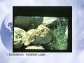 Geological Processes and Erosion Concepts