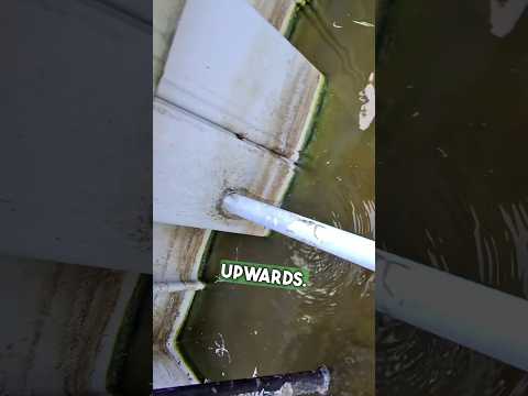 Installing A Well Point for a Sea Wall