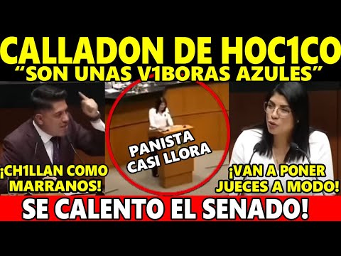 El PUEBLO nos DIO la APLANADORA para USARLA! Emmanuel Reyes MORENA 4T a Verónica Rodríguez PAN!