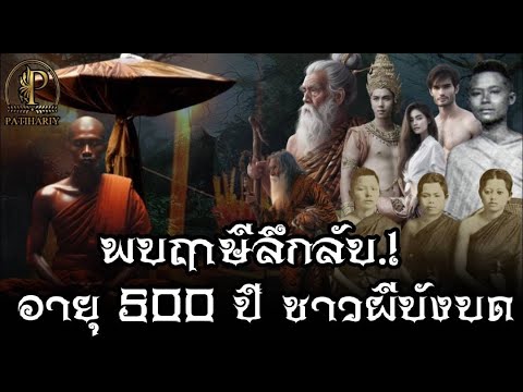 "พบฤาษีลึกลับ ในป่าลึก" อายุ 500 ปี.! ชาวเมืองผีบังบด ปาฎิหาริย์พระธุดงค์หนุ่ม ศิษย์สายหลวงปู่พิมพา