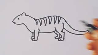 How to draw a Mongoose easy step by step/animal drawing/mongoose drawing easy