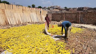 Most Insane and Hidden Skills Of Making Wooden Scale In Factory