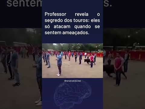 Touros São Realmente Agressivos? Esse Experimento Vai te Surpreender!
